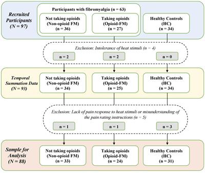 Interplay between noxious heat sensitivity and temporal summation magnitude in patients with fibromyalgia and long-term opioid use